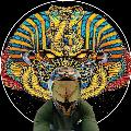Camilo Road City avatar