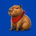 Capivara Comenta avatar