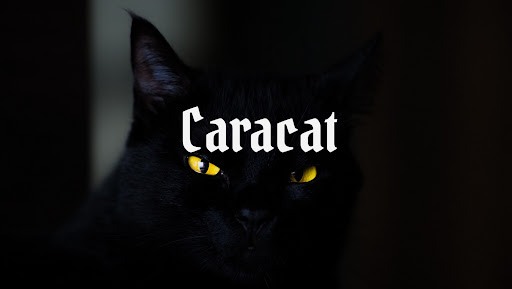 Caracat banner