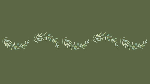 Casa Oliva VLOGS banner