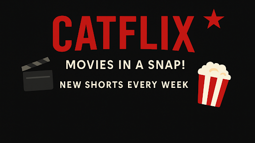 CatFlix banner