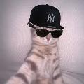 catzhubbbi avatar