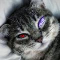 Catzz Editz avatar