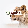 CB_animaux avatar