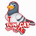 TUNCAY TÜNTAŞ  avatar