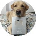 Charlie Lab avatar