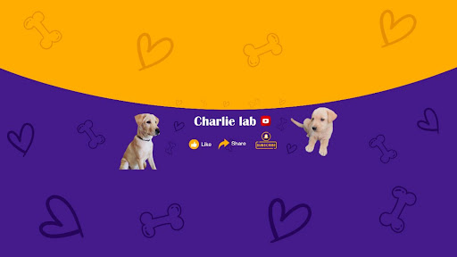 Charlie Lab banner