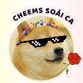 Cheems Soái Ca avatar