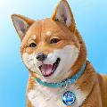 CHIBA FILE avatar