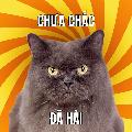 Chưa Chắc Đã Hài avatar