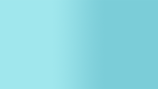 Chulas banner