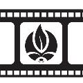 씨네폭스 avatar