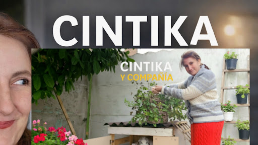 Cintika vlogs banner