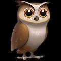 🦉 Coruja Shorts avatar