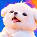  cottonpupai avatar