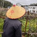 Countryside Notes avatar