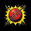 Cricket Multiverse Point  avatar