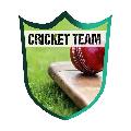 Cricket team avatar