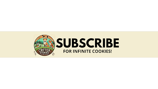 Critter Stories banner