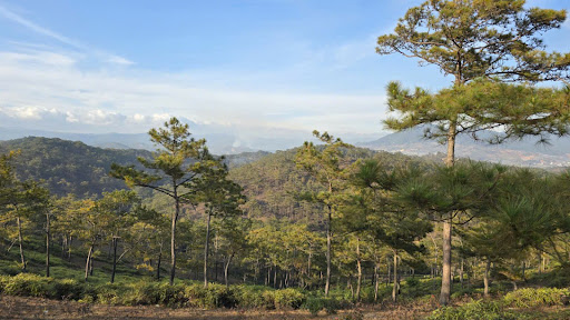 Cưng Quá Xá banner
