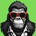 CurvaFuga avatar