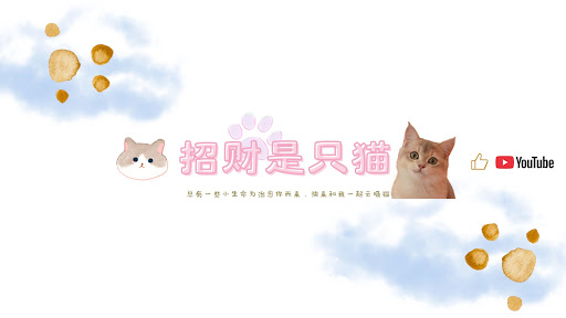 招财是只猫 banner