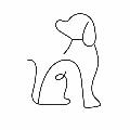 毎日わんちゃん日記🐶 avatar