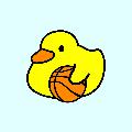Dabbly Ducks avatar