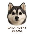 Daily Husky Drama avatar