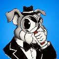 DanElCurioso avatar