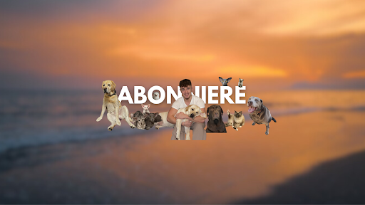daniel labbi banner