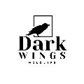 Dark Wings Wildlife avatar
