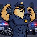 DashDoge avatar