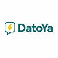  DatoYa avatar