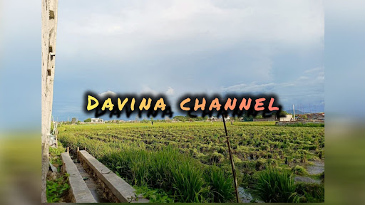 Davina banner