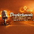 DespiertaMenteRadio avatar