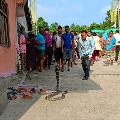 Dipak Nepal Snake expert avatar