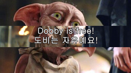도플리 dobby playlist banner
