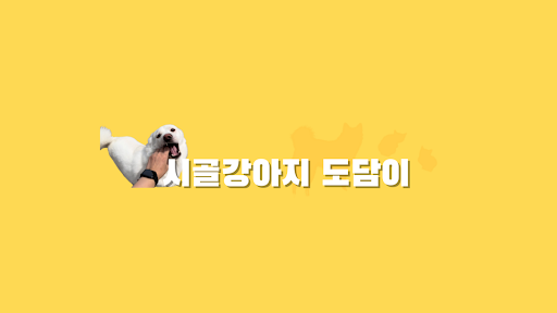 시골강아지 도담이 banner