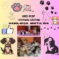 Dog star animals stories avatar