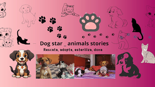 Dog star animals stories banner
