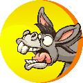 Donkey Tube avatar