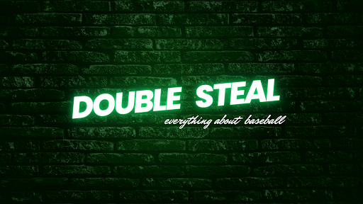 더블스틸  DOUBLE STEAL banner