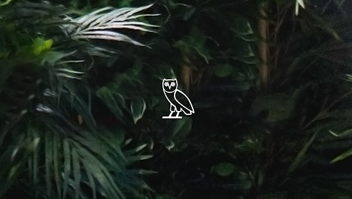 Drake banner