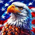 Eagle Facts avatar