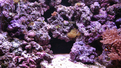 EasyReefers banner