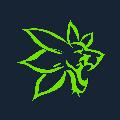edelweiss_pc avatar