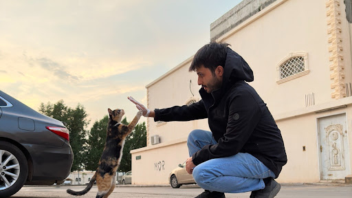 اقبال والقطط Ekbal & the cats banner