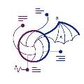 El Balón de Icaro  avatar