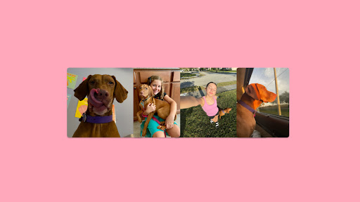 emma & georgia banner